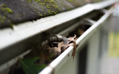 Spring Roof & Gutter Maintenance Tips