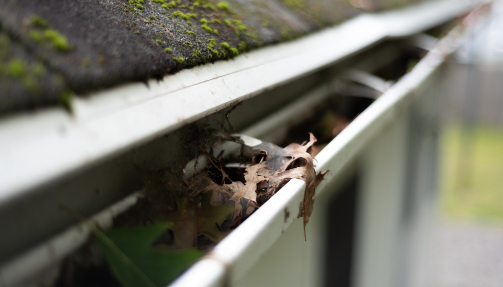 Gutters filled with dirt, leaves, and debris from winter. It needs spring maintenance.
