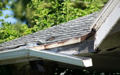 Unsung Heroes: Gutter Replacements With Ledegar Roofing
