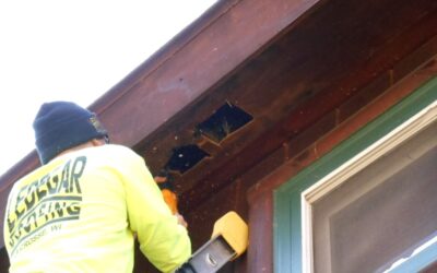 The Signs of Damaged Soffit And Fascia And What to Do