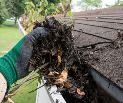 Gloved hand removing wet leaves and debris from a house gutter to prepare the roof for fall.