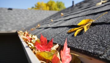 Autumn leaves in residential home gutter system.