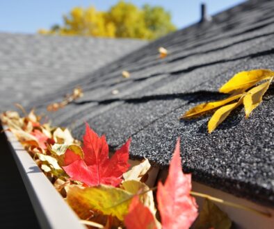 Autumn leaves in residential home gutter system.