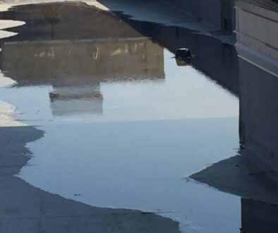 Standing water on a flat commercial roof, indicating potential spring thaw roof damage and drainage issues.