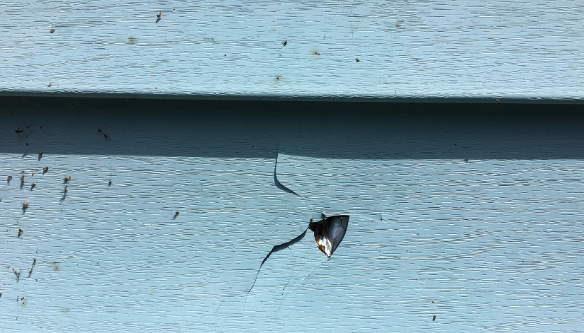 A close-up of cracked and damaged light blue vinyl siding on a residential home, showing a puncture and visible wear.