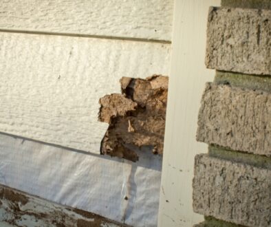Close-up of severely damaged siding on a home, revealing rotting material and underlying layers near a brick corner.