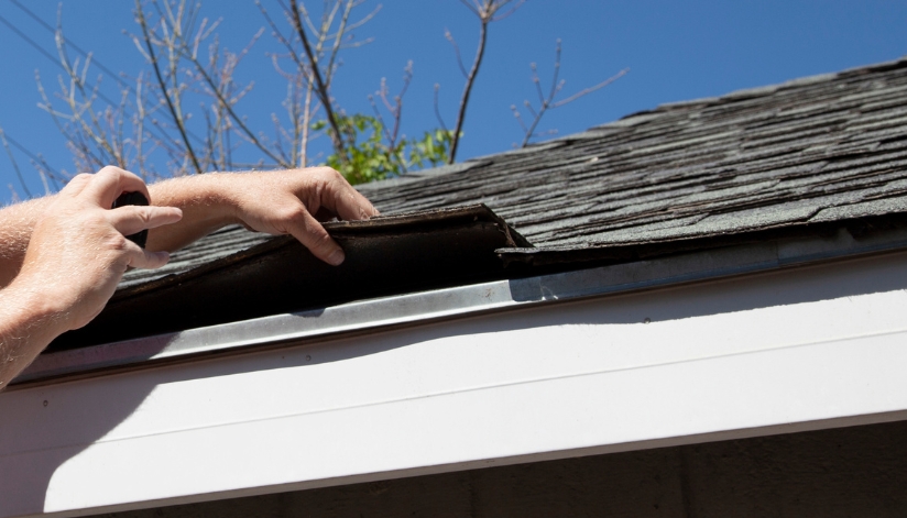 Considering A New Roof? Here’s Why A Free Spring Inspection Is Your Best First Step A contractor lifts damaged asphalt shingles during a free roof inspection to check for hidden issues.