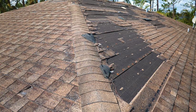 Severely damaged asphalt shingle roof with missing and curling shingles exposing underlayment from prolonged sun and UV ray exposure.