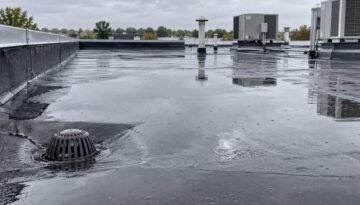 Standing water ponding around a roof drain on a commercial flat roof after rainfall.