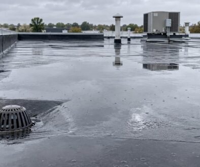 Standing water ponding around a roof drain on a commercial flat roof after rainfall.