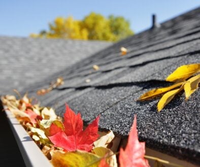 Asphalt shingle roof with fall leaves collecting near the gutter.