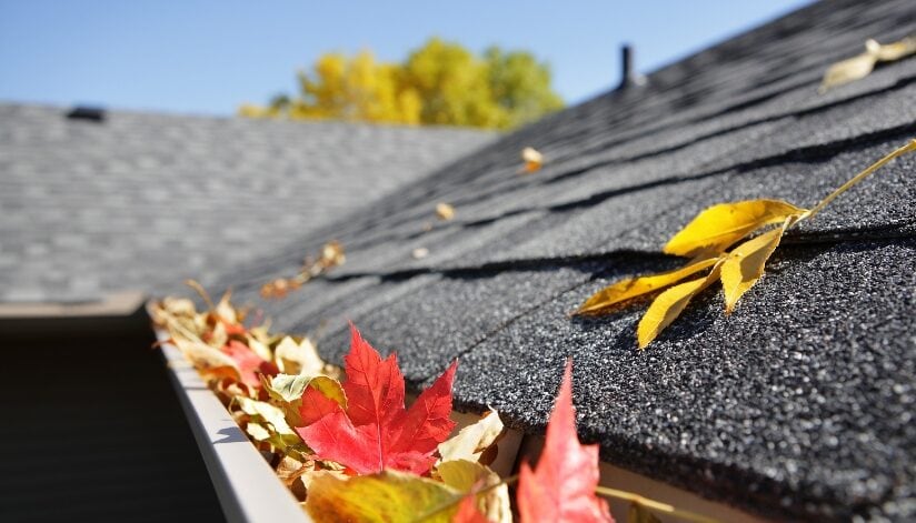 Asphalt shingle roof with fall leaves collecting near the gutter.