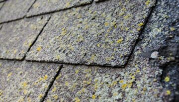 Moss covered asphalt shingles on a home roof.