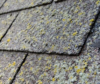 Moss covered asphalt shingles on a home roof.