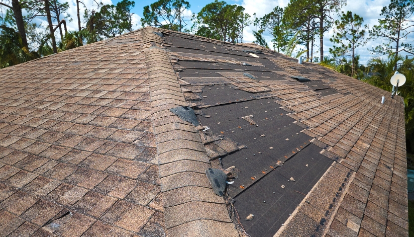 Damaged asphalt shingle roof with large sections of missing shingles exposing the underlayment, showing signs roof replacement may be needed.